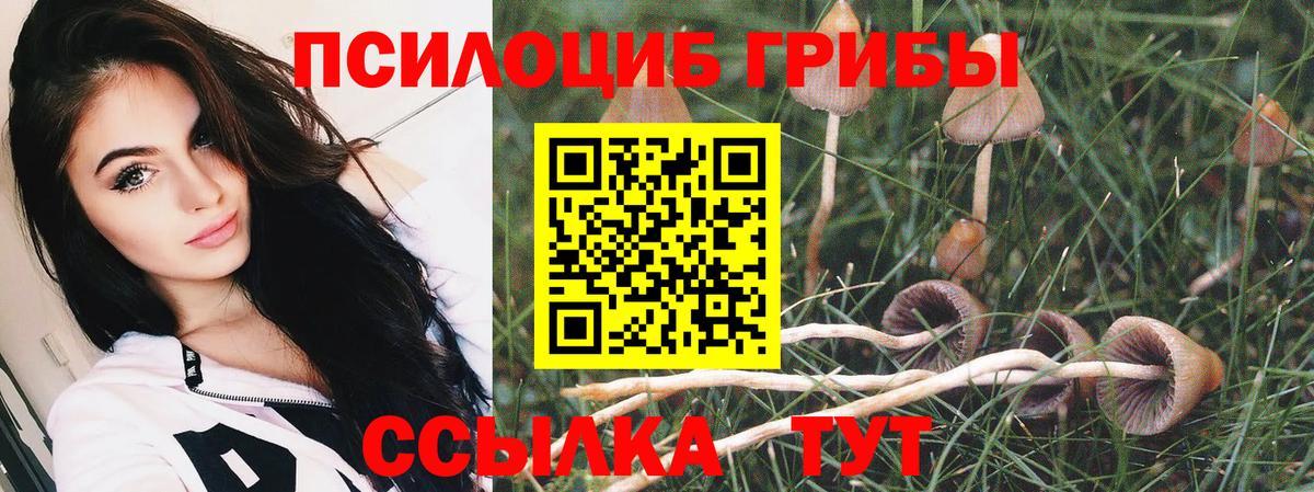 Псилоцибиновые грибы MAGIC MUSHROOMS  Вход с VPN  Кинель  Псилоцибиновые грибы мухоморы 